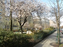 Location meublée de courte durée d'un F3 de standing à Daguerre Denfert Rochereau Paris 14ème